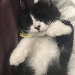 Meet your Posher, Mari